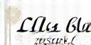 Lillian Bruss brand logo